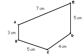perimeter of a polygon