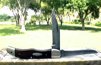 Case.6265.1574707017